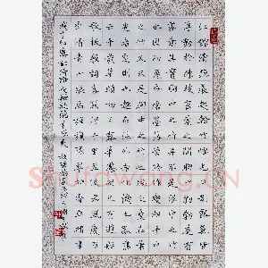 唐国生 硬笔楷书 板桥题画及诗一首