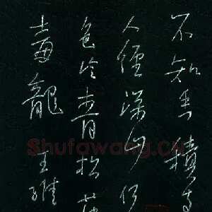 李宗洪 硬笔行书 王维诗一首