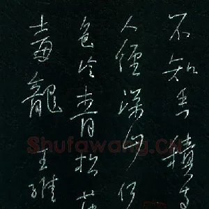 李宗洪 硬笔行书 王维诗一首