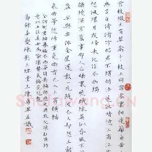 陈勇军硬笔楷书姜夔词疏影节录 硬笔书法作品