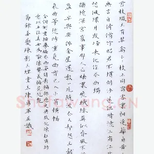 陈勇军硬笔楷书姜夔词疏影节录 硬笔书法作品