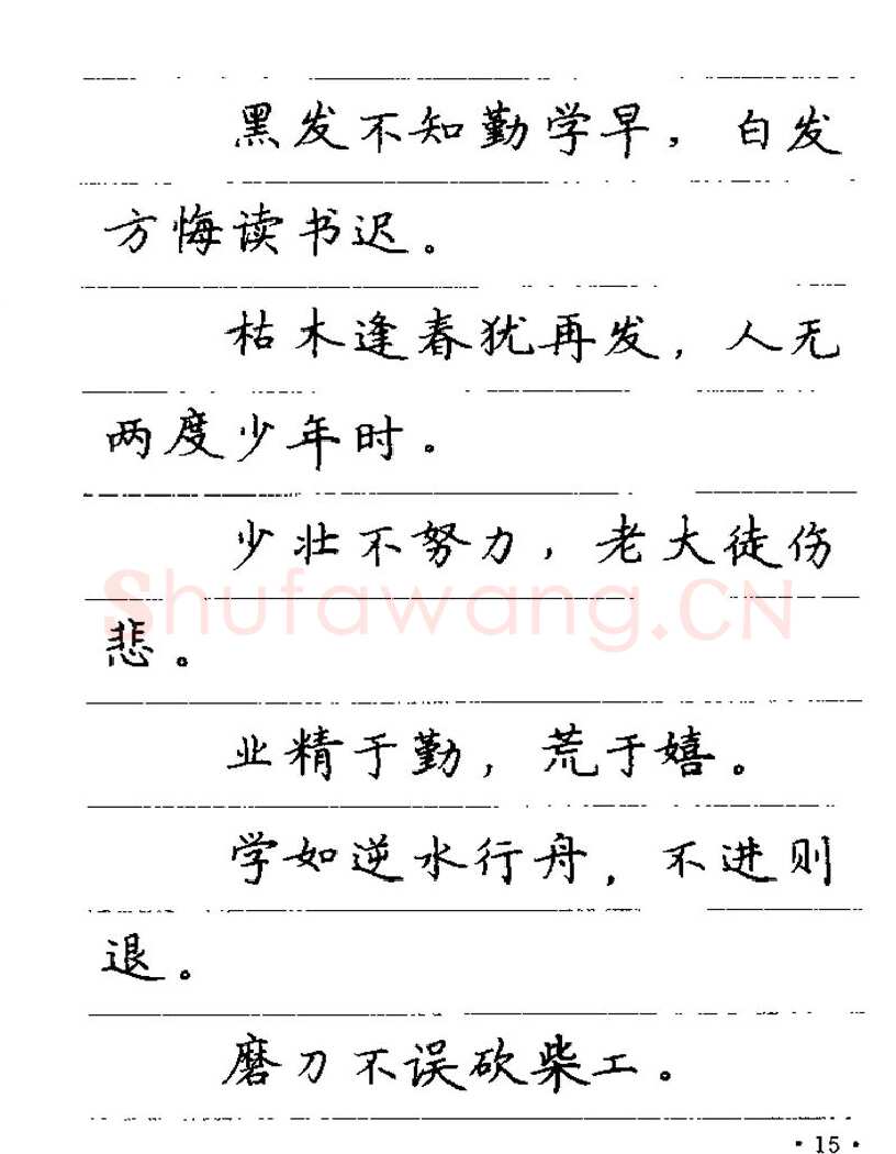 卢中南硬笔楷书字帖,摘自卢中南谚语名句钢笔字贴