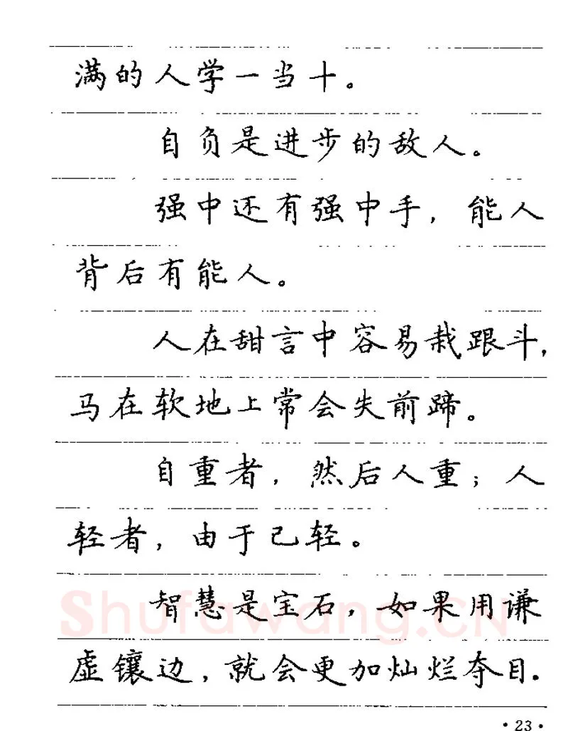卢中南硬笔楷书字帖,摘自卢中南谚语名句钢笔字贴