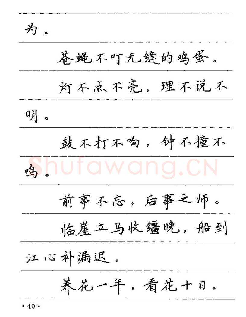 卢中南硬笔楷书字帖,摘自卢中南谚语名句钢笔字贴