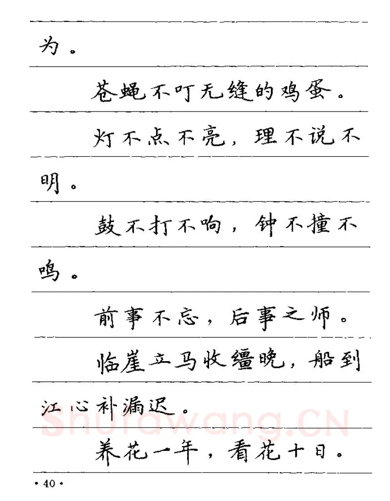 卢中南硬笔楷书字帖,摘自卢中南谚语名句钢笔字贴