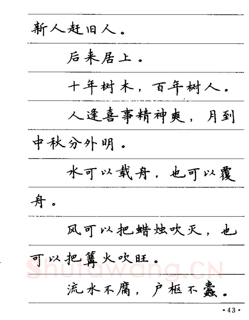 卢中南硬笔楷书字帖,摘自卢中南谚语名句钢笔字贴