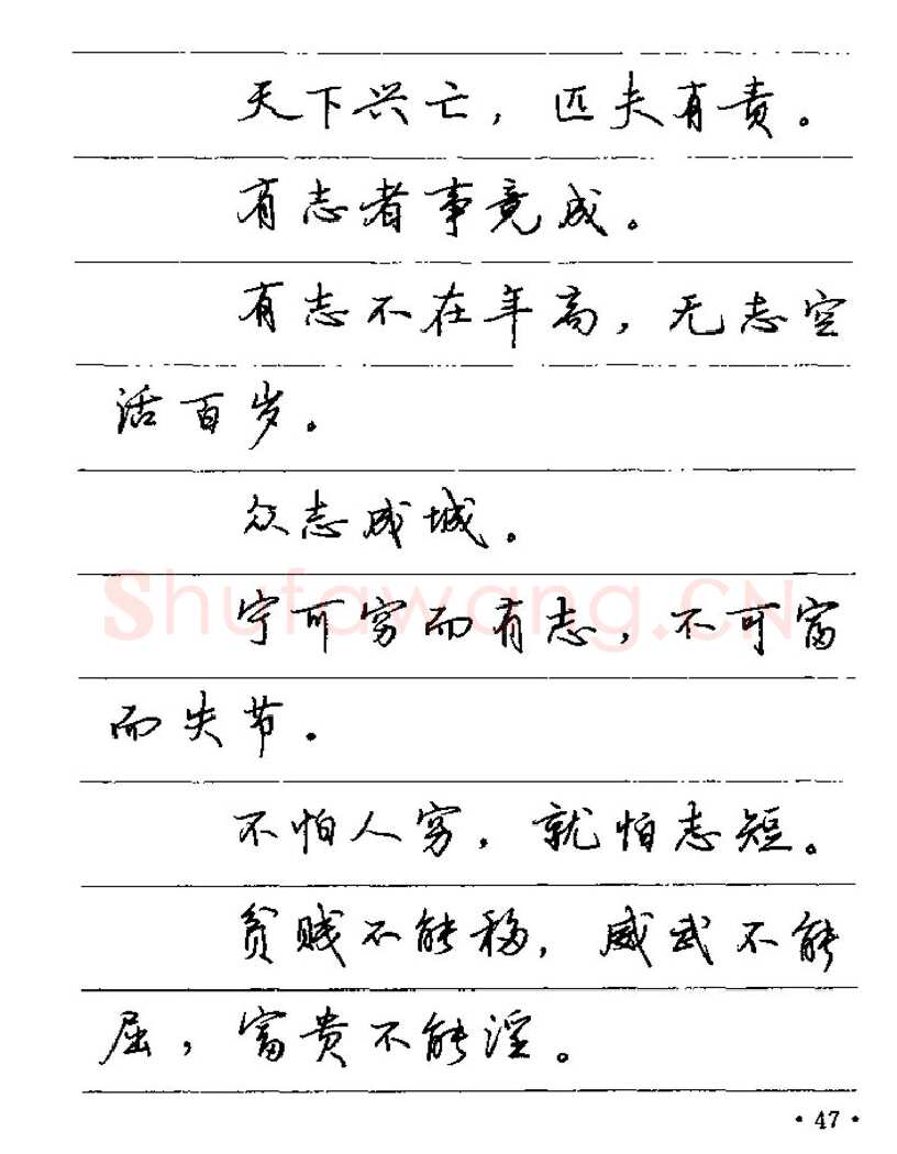 卢中南硬笔楷书字帖,摘自卢中南谚语名句钢笔字贴