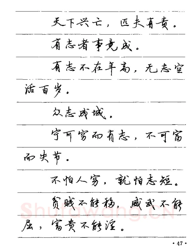 卢中南硬笔楷书字帖,摘自卢中南谚语名句钢笔字贴
