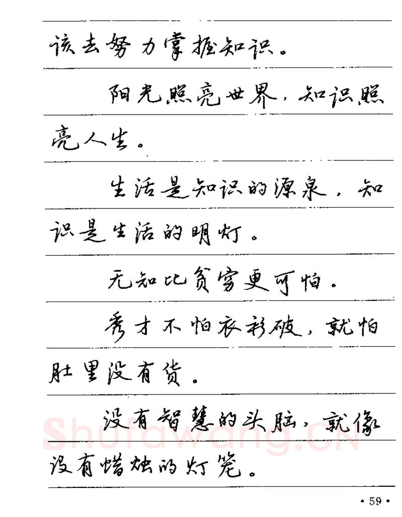 卢中南硬笔楷书字帖,摘自卢中南谚语名句钢笔字贴