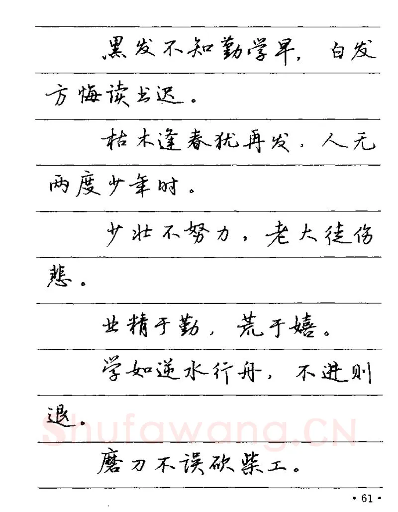 卢中南硬笔楷书字帖,摘自卢中南谚语名句钢笔字贴