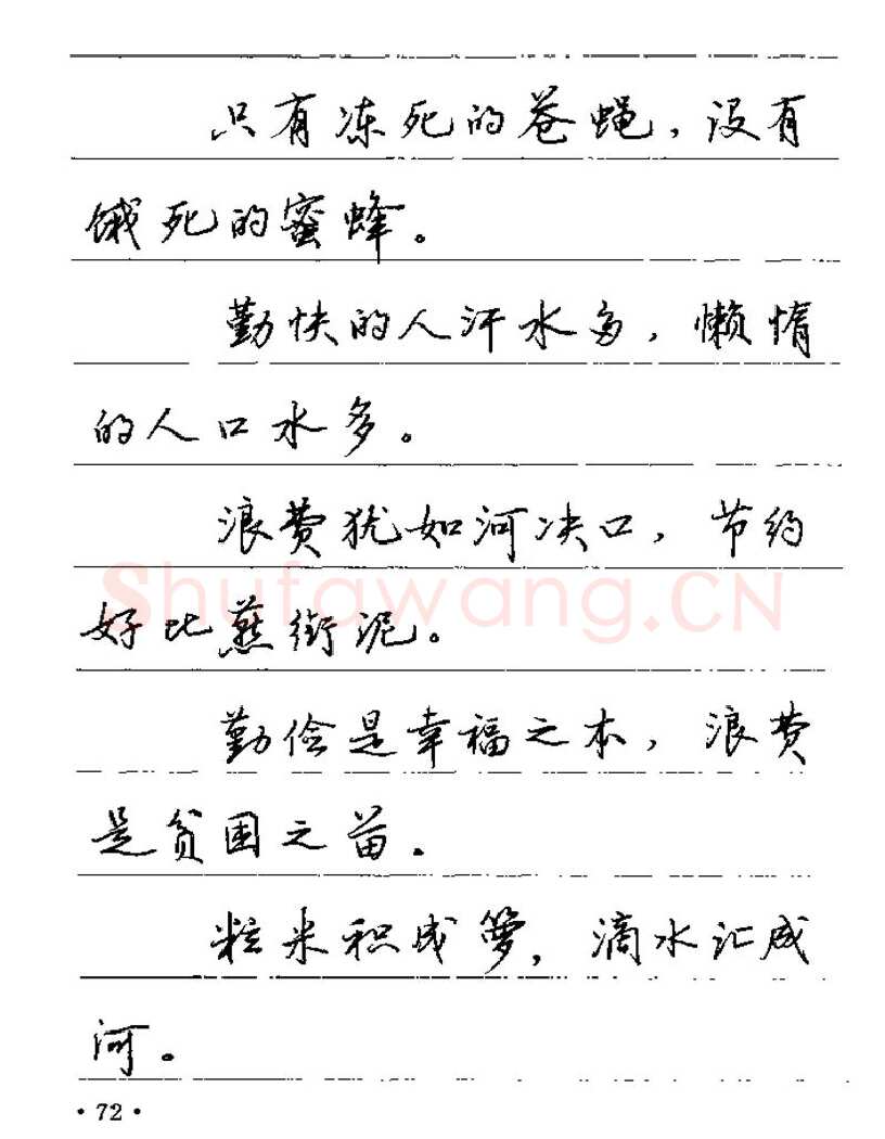 卢中南硬笔楷书字帖,摘自卢中南谚语名句钢笔字贴