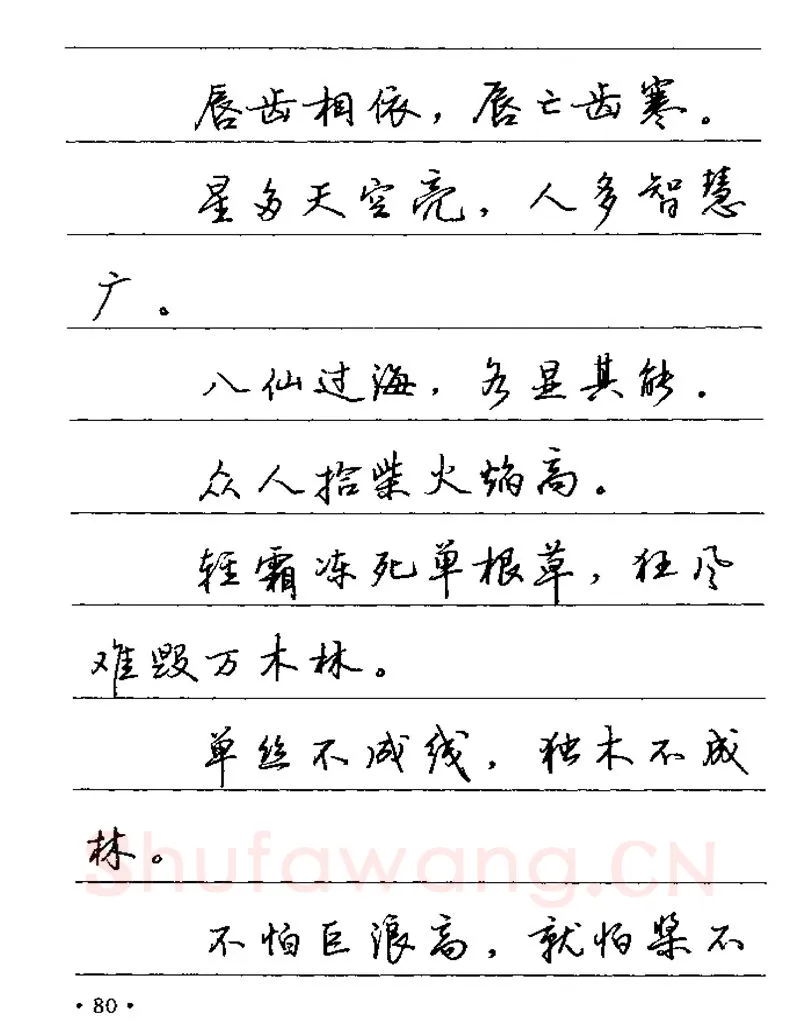 卢中南硬笔楷书字帖,摘自卢中南谚语名句钢笔字贴