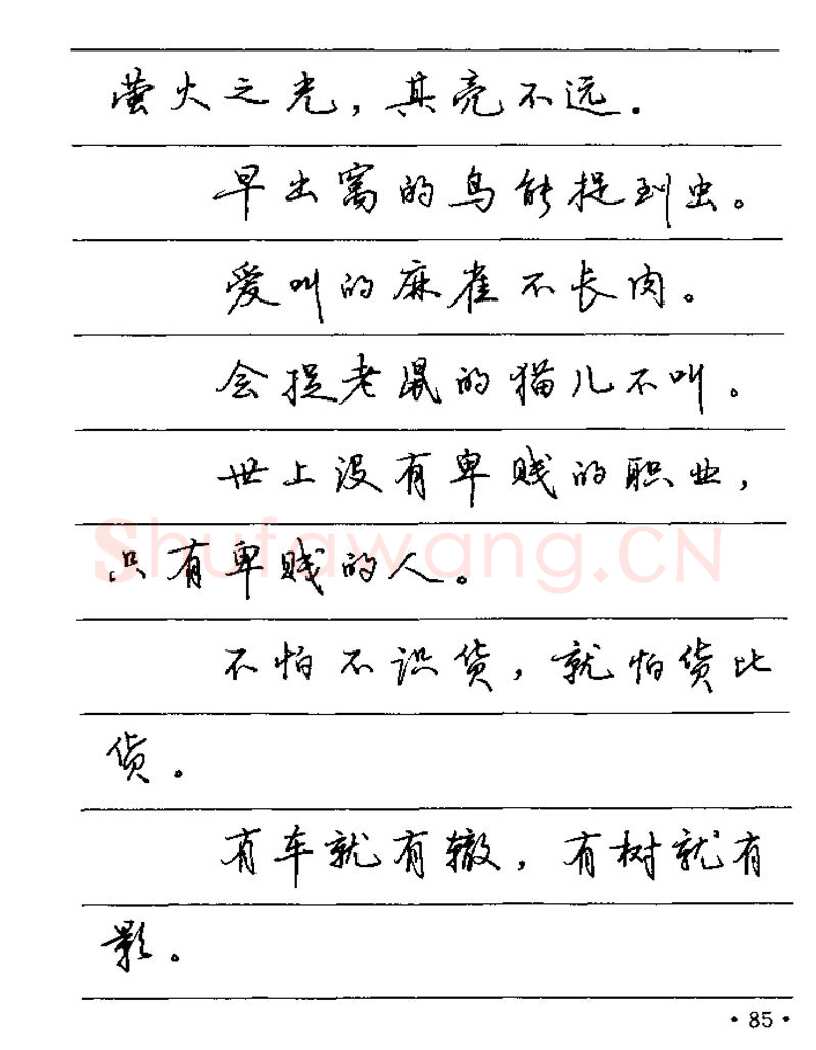 卢中南硬笔楷书字帖,摘自卢中南谚语名句钢笔字贴