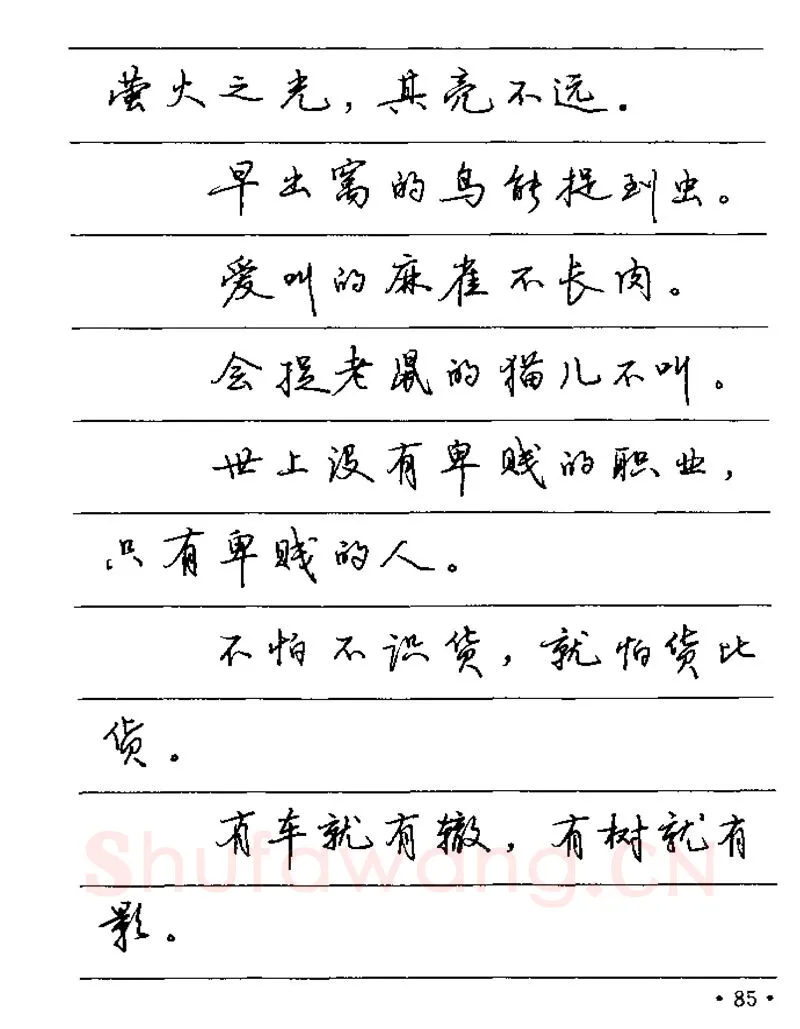 卢中南硬笔楷书字帖,摘自卢中南谚语名句钢笔字贴