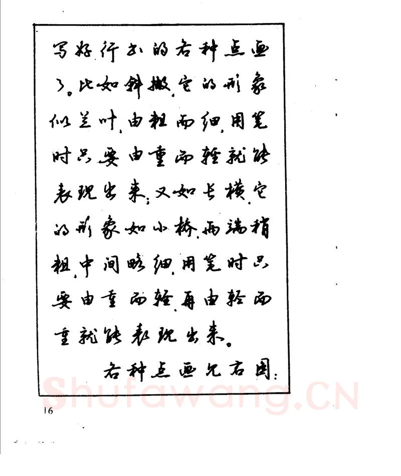 沈鸿根硬笔行书字帖,摘自沈鸿根 江鸟钢笔行书字帖