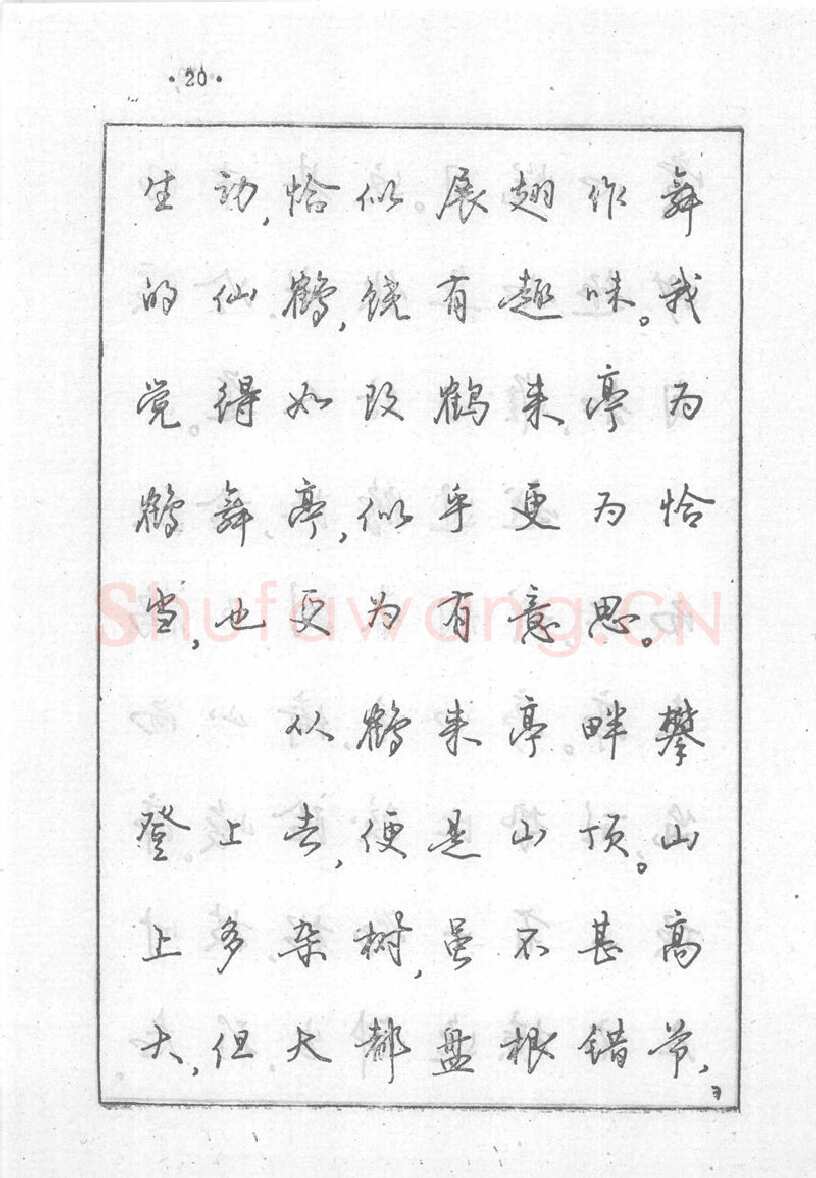 沈鸿根硬笔行书字帖,摘自沈鸿根 (江鸟)《钢笔行书横写字帖》( 完整版 )