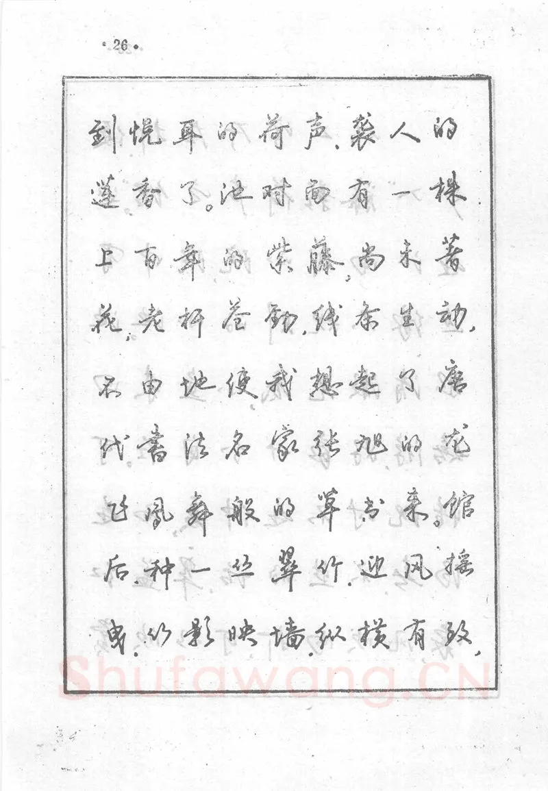 沈鸿根硬笔行书字帖,摘自沈鸿根 (江鸟)《钢笔行书横写字帖》( 完整版 )