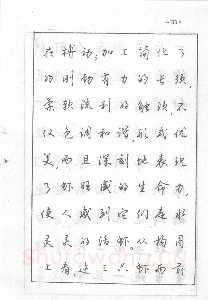 沈鸿根硬笔行书字帖,摘自沈鸿根 (江鸟)《钢笔行书横写字帖》( 完整版 )