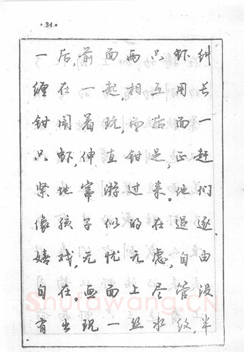 沈鸿根硬笔行书字帖,摘自沈鸿根 (江鸟)《钢笔行书横写字帖》( 完整版 )