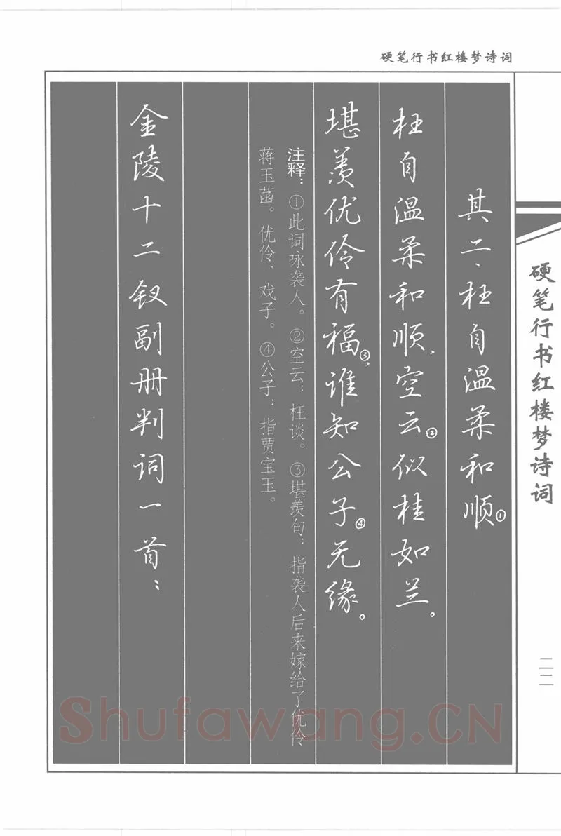 吴玉生硬笔行书字帖,摘自吴玉生硬笔行书红楼梦诗词