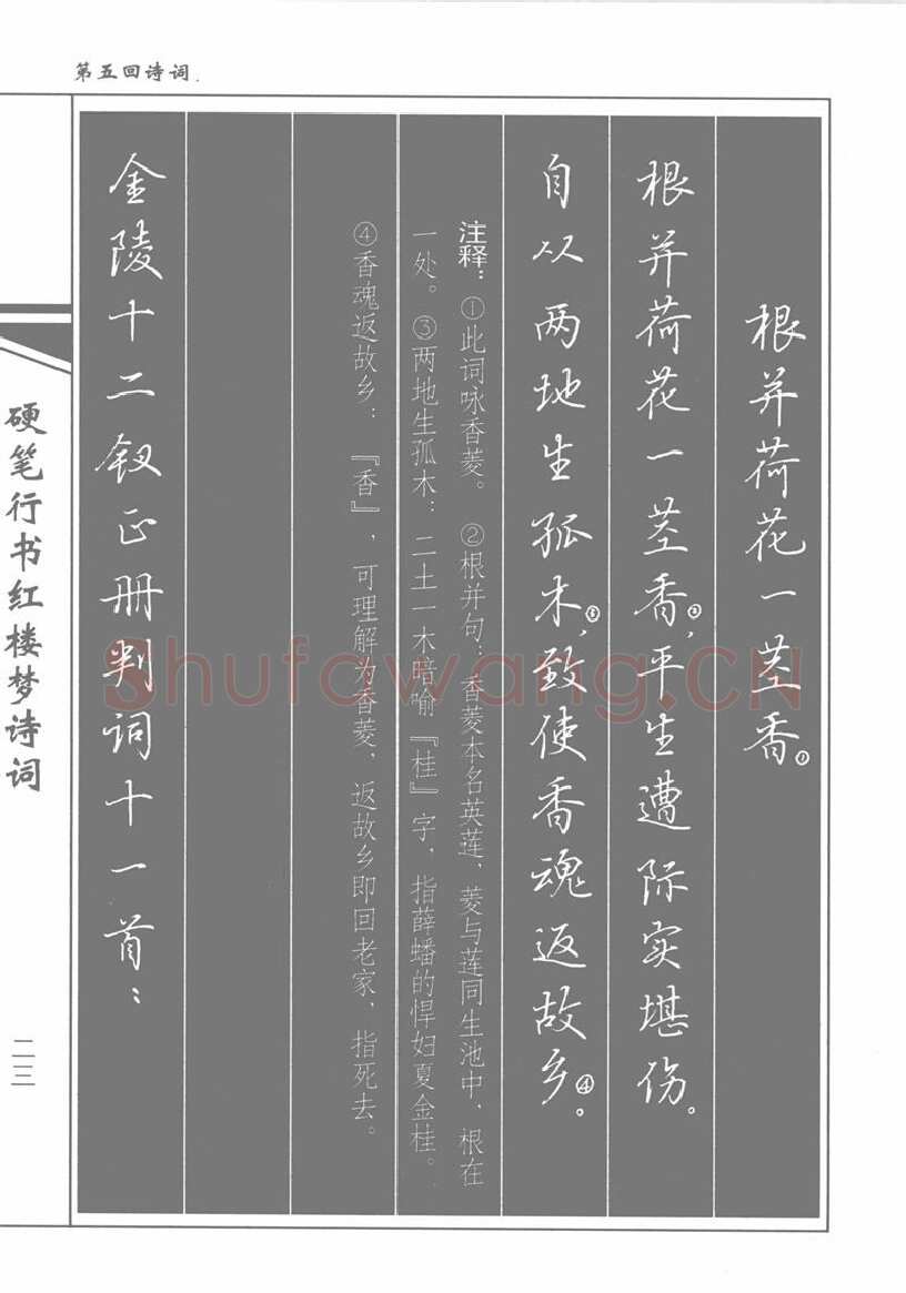 吴玉生硬笔行书字帖,摘自吴玉生硬笔行书红楼梦诗词