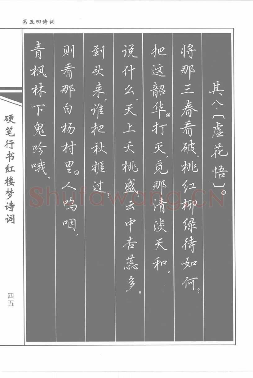 吴玉生硬笔行书字帖,摘自吴玉生硬笔行书红楼梦诗词