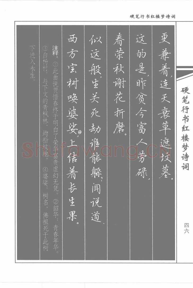 吴玉生硬笔行书字帖,摘自吴玉生硬笔行书红楼梦诗词