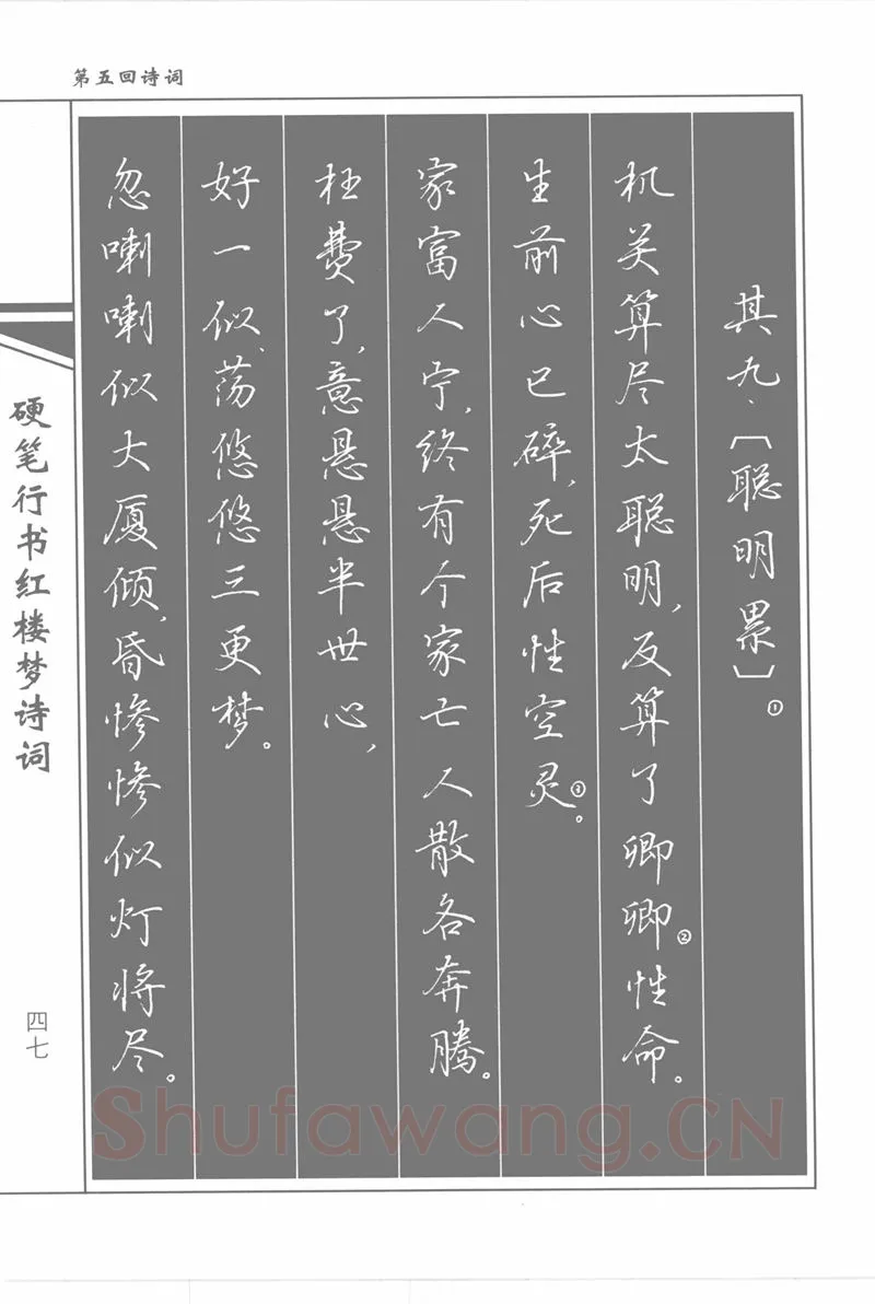 吴玉生硬笔行书字帖,摘自吴玉生硬笔行书红楼梦诗词