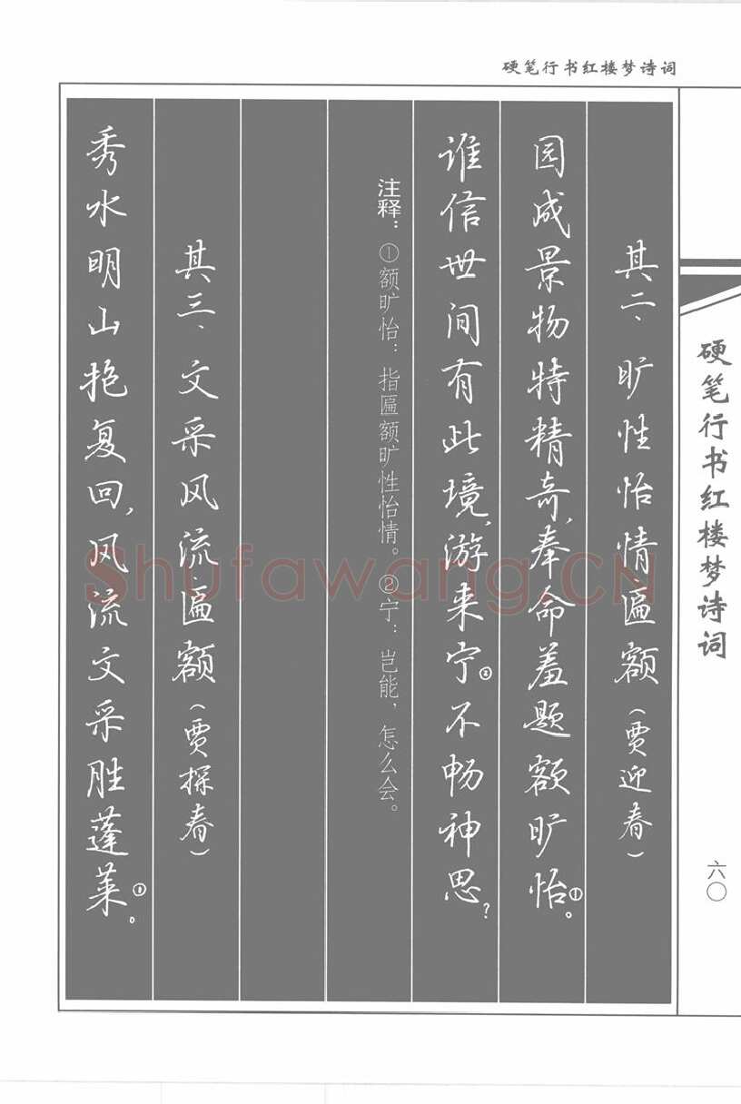 吴玉生硬笔行书字帖,摘自吴玉生硬笔行书红楼梦诗词