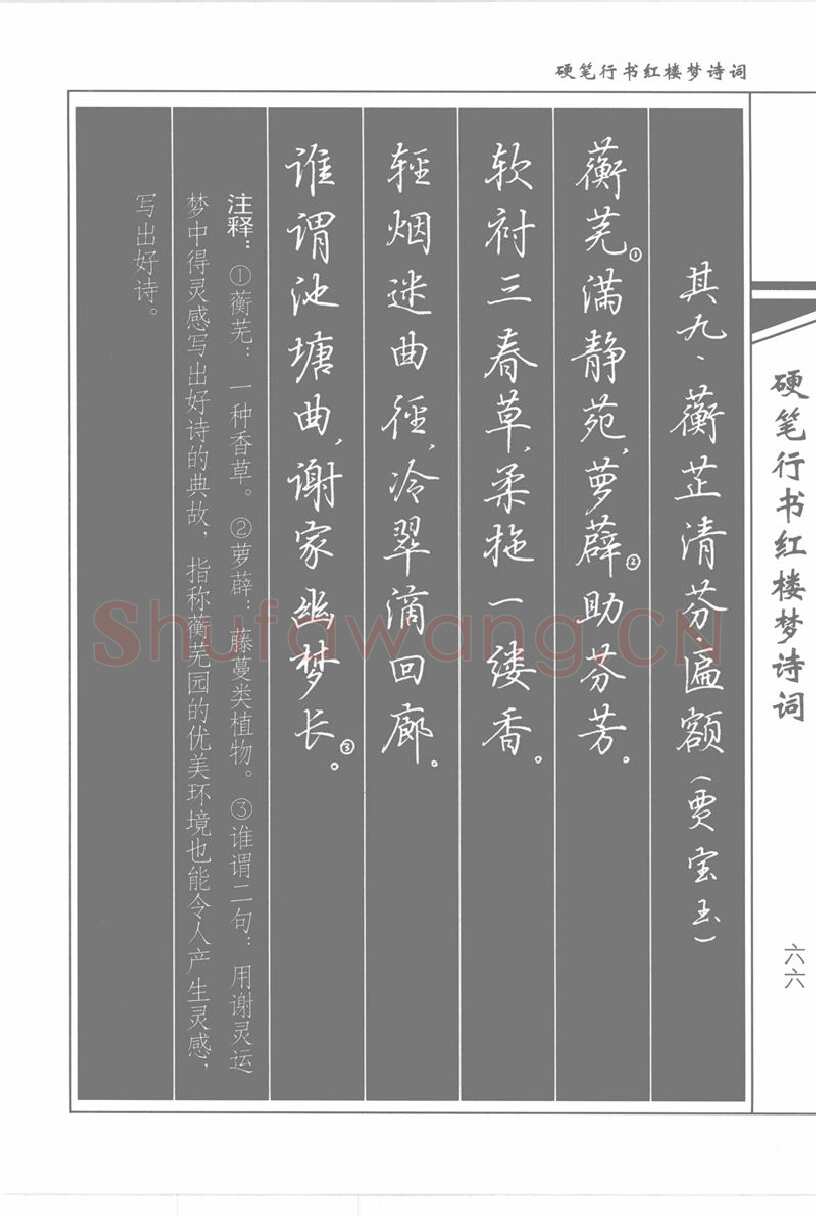 吴玉生硬笔行书字帖,摘自吴玉生硬笔行书红楼梦诗词