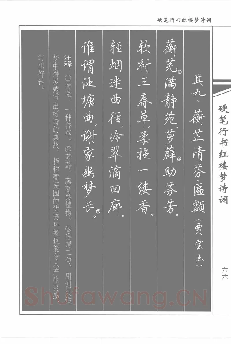 吴玉生硬笔行书字帖,摘自吴玉生硬笔行书红楼梦诗词