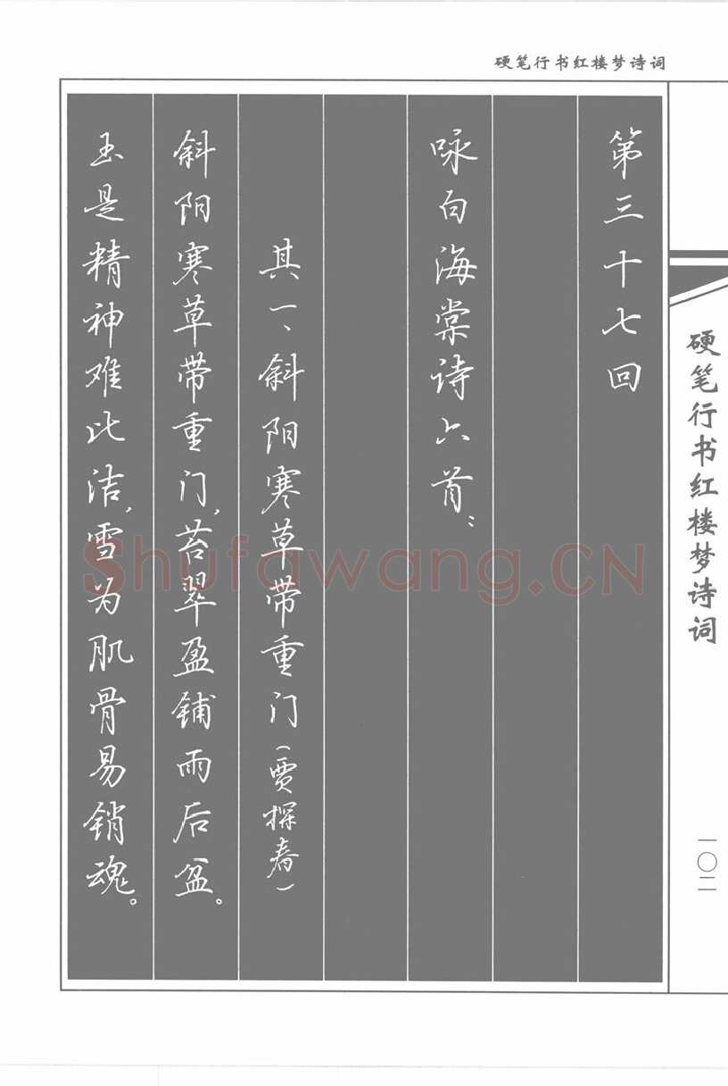 吴玉生硬笔行书字帖,摘自吴玉生硬笔行书红楼梦诗词