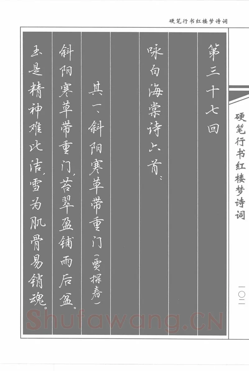 吴玉生硬笔行书字帖,摘自吴玉生硬笔行书红楼梦诗词
