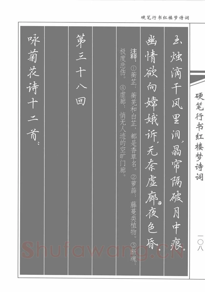 吴玉生硬笔行书字帖,摘自吴玉生硬笔行书红楼梦诗词