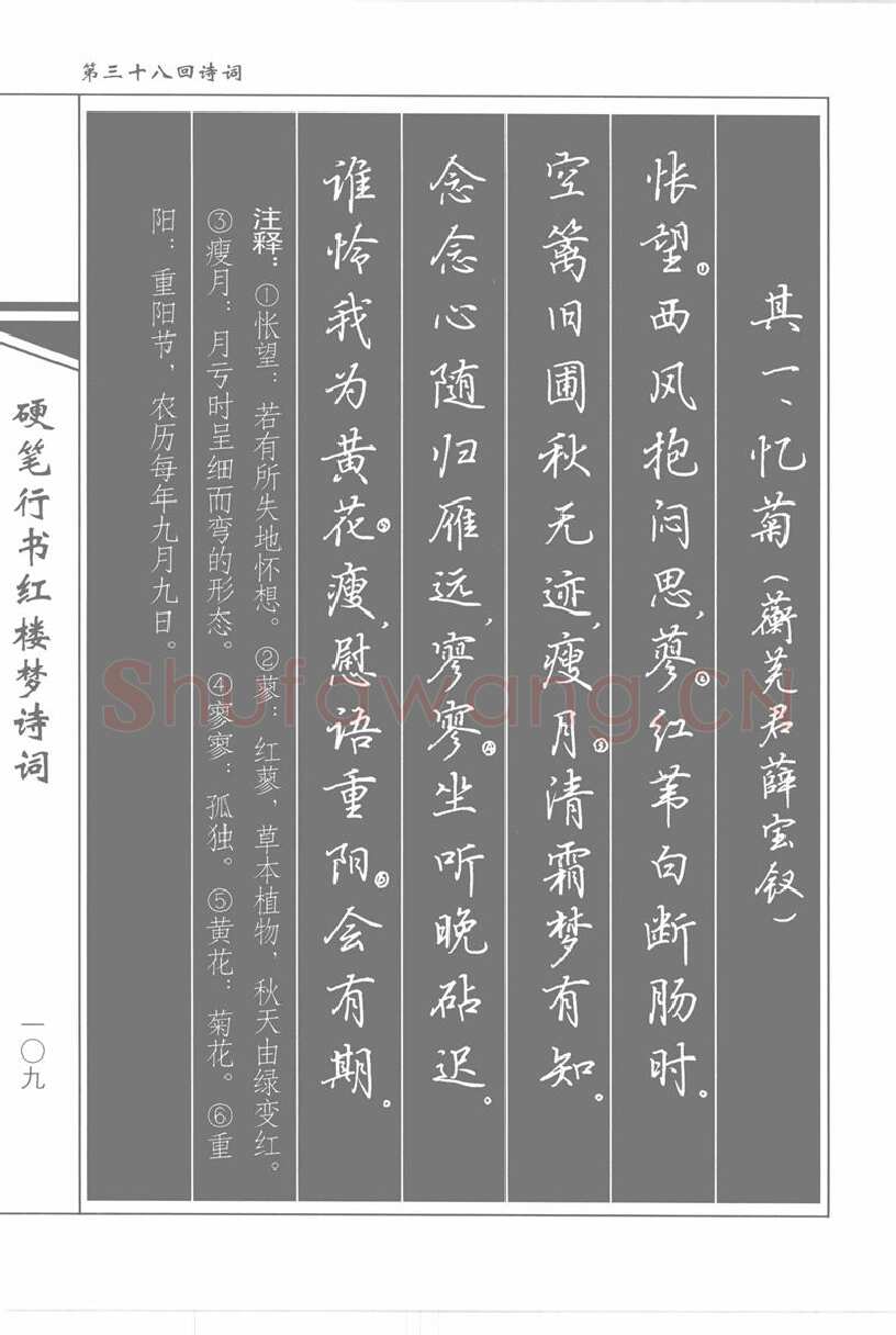 吴玉生硬笔行书字帖,摘自吴玉生硬笔行书红楼梦诗词
