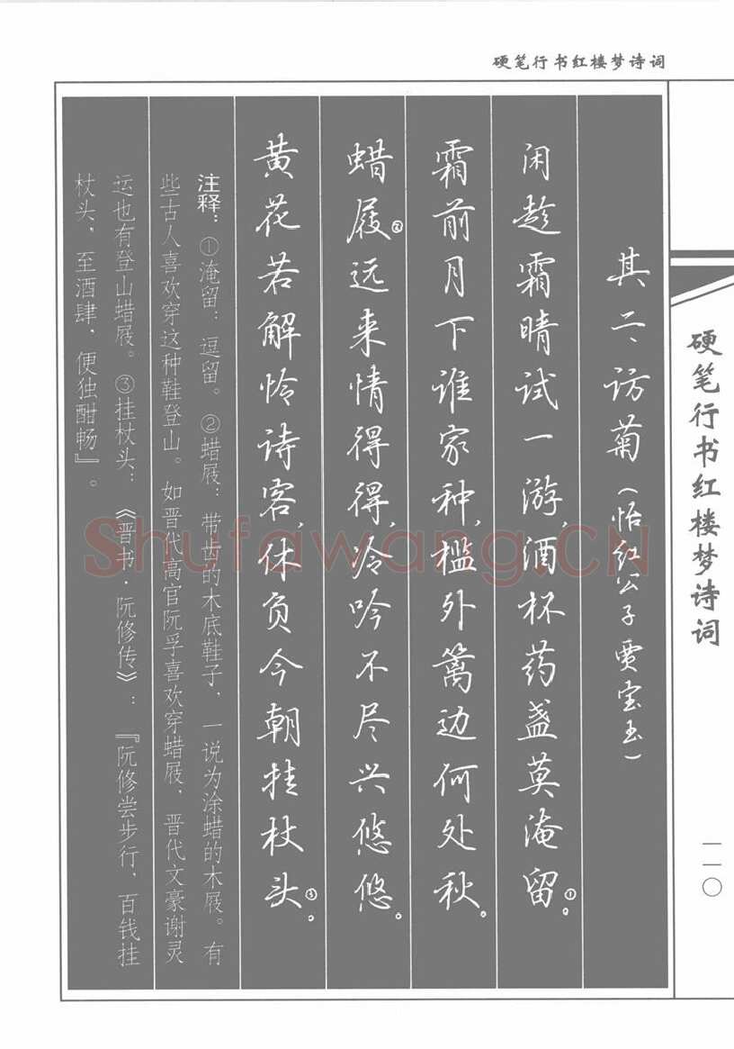 吴玉生硬笔行书字帖,摘自吴玉生硬笔行书红楼梦诗词