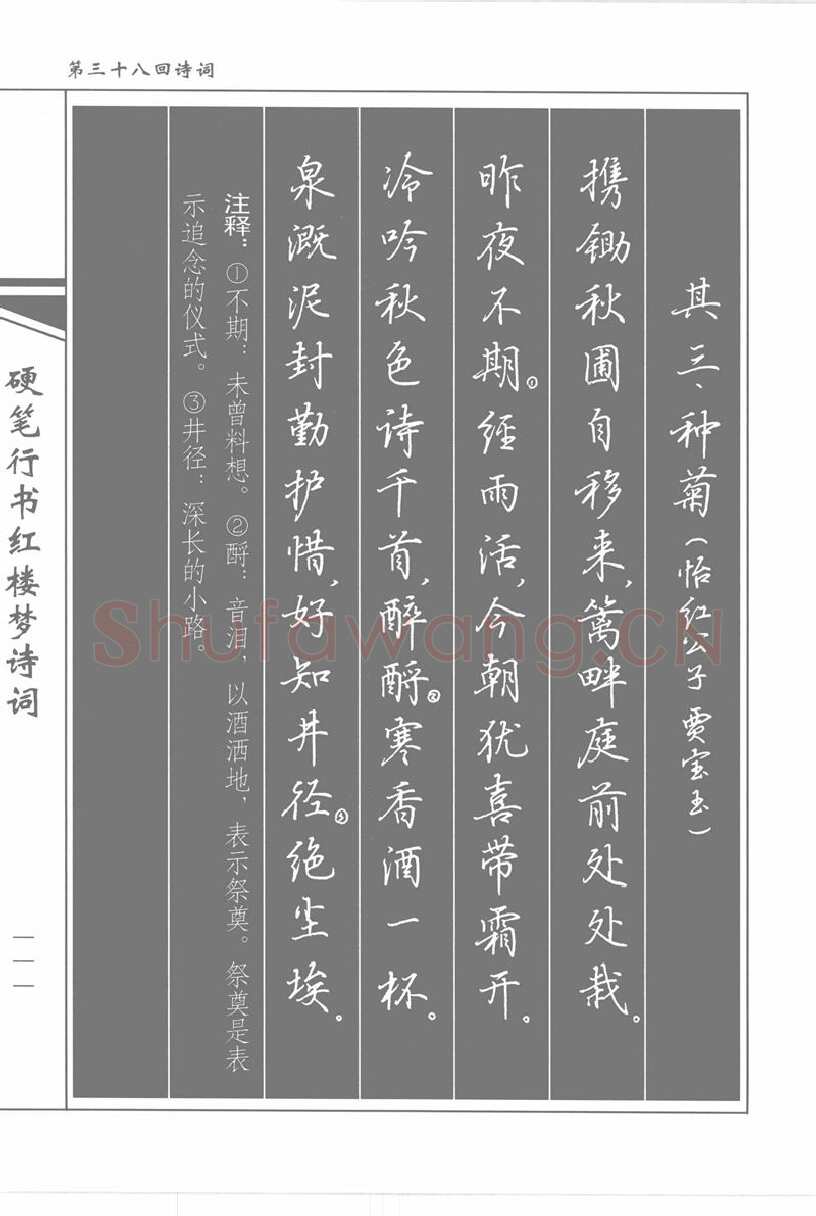 吴玉生硬笔行书字帖,摘自吴玉生硬笔行书红楼梦诗词