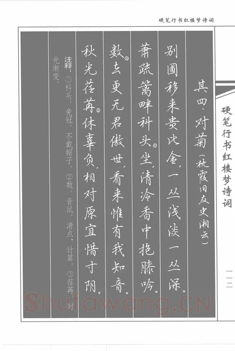 吴玉生硬笔行书字帖,摘自吴玉生硬笔行书红楼梦诗词