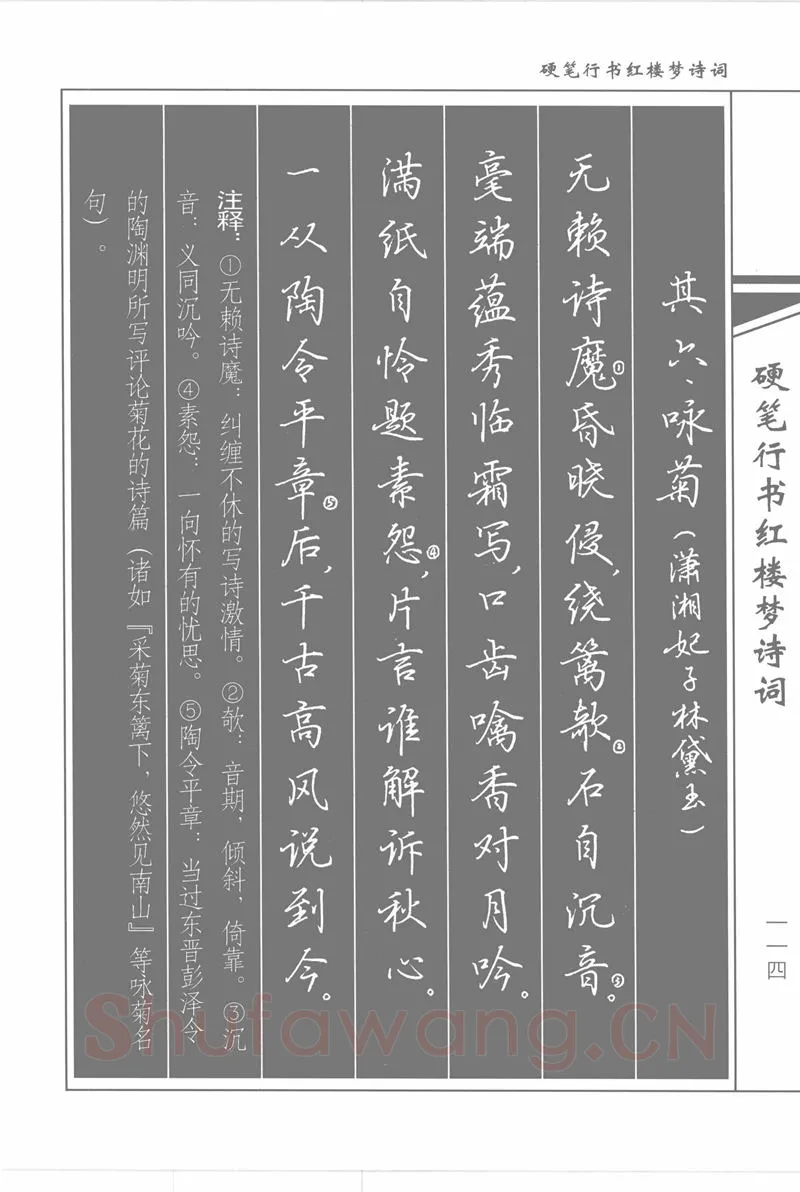 吴玉生硬笔行书字帖,摘自吴玉生硬笔行书红楼梦诗词