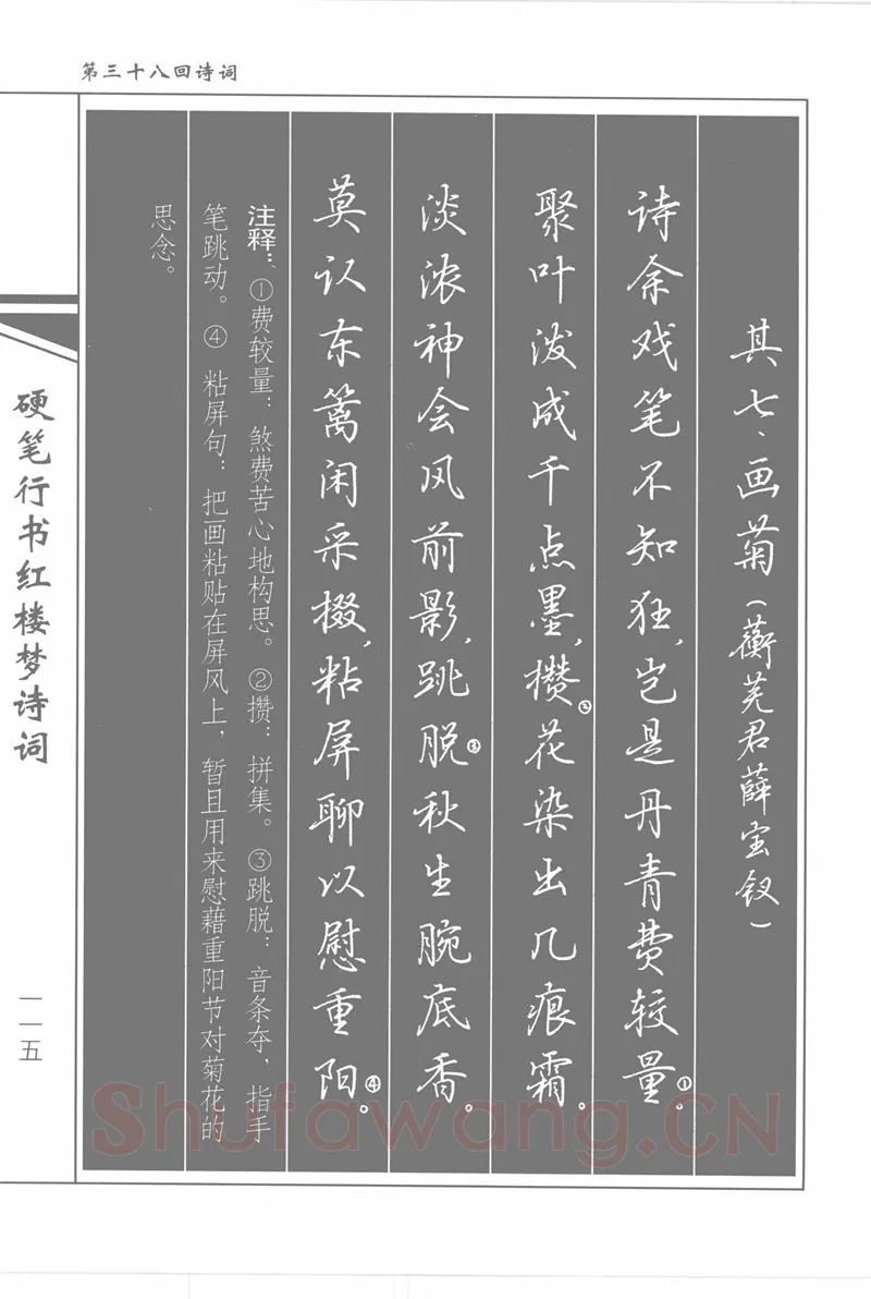 吴玉生硬笔行书字帖,摘自吴玉生硬笔行书红楼梦诗词