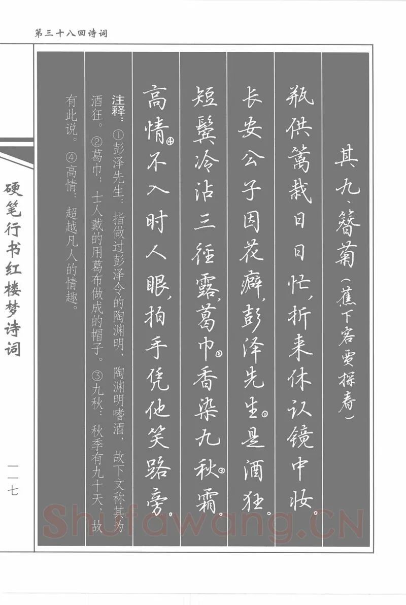 吴玉生硬笔行书字帖,摘自吴玉生硬笔行书红楼梦诗词