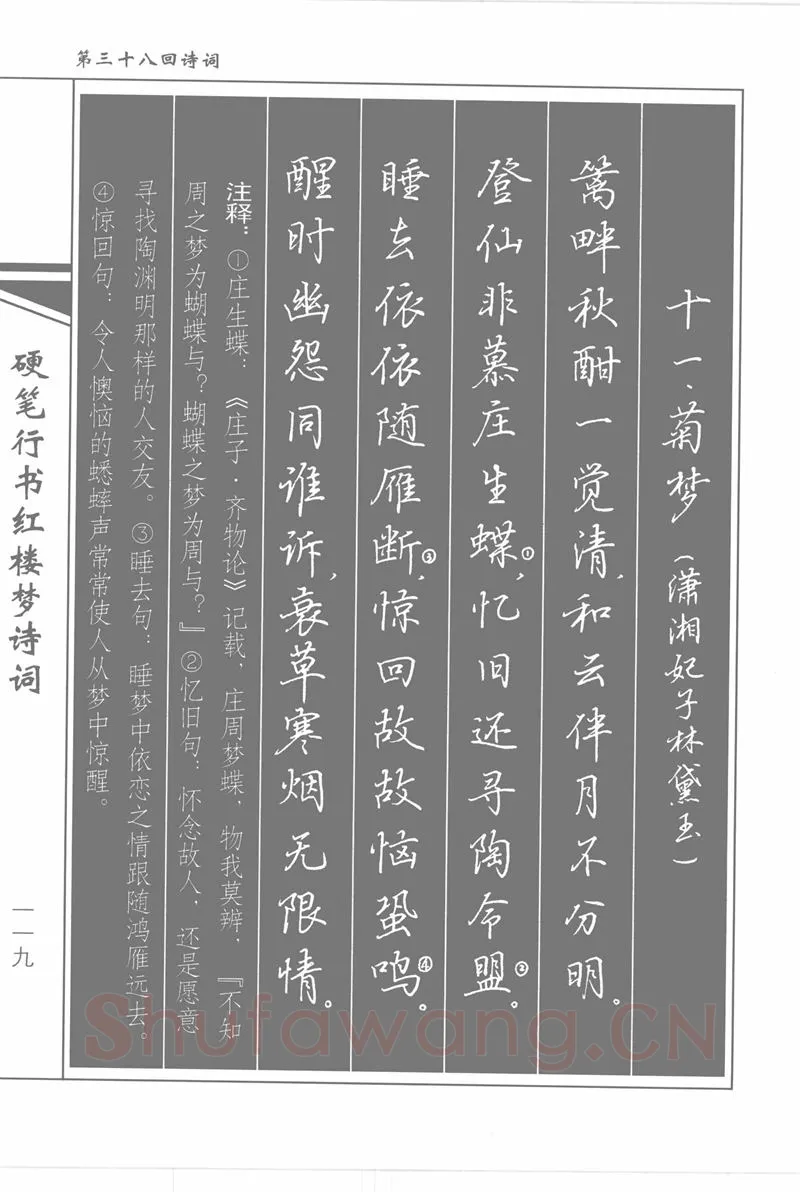 吴玉生硬笔行书字帖,摘自吴玉生硬笔行书红楼梦诗词