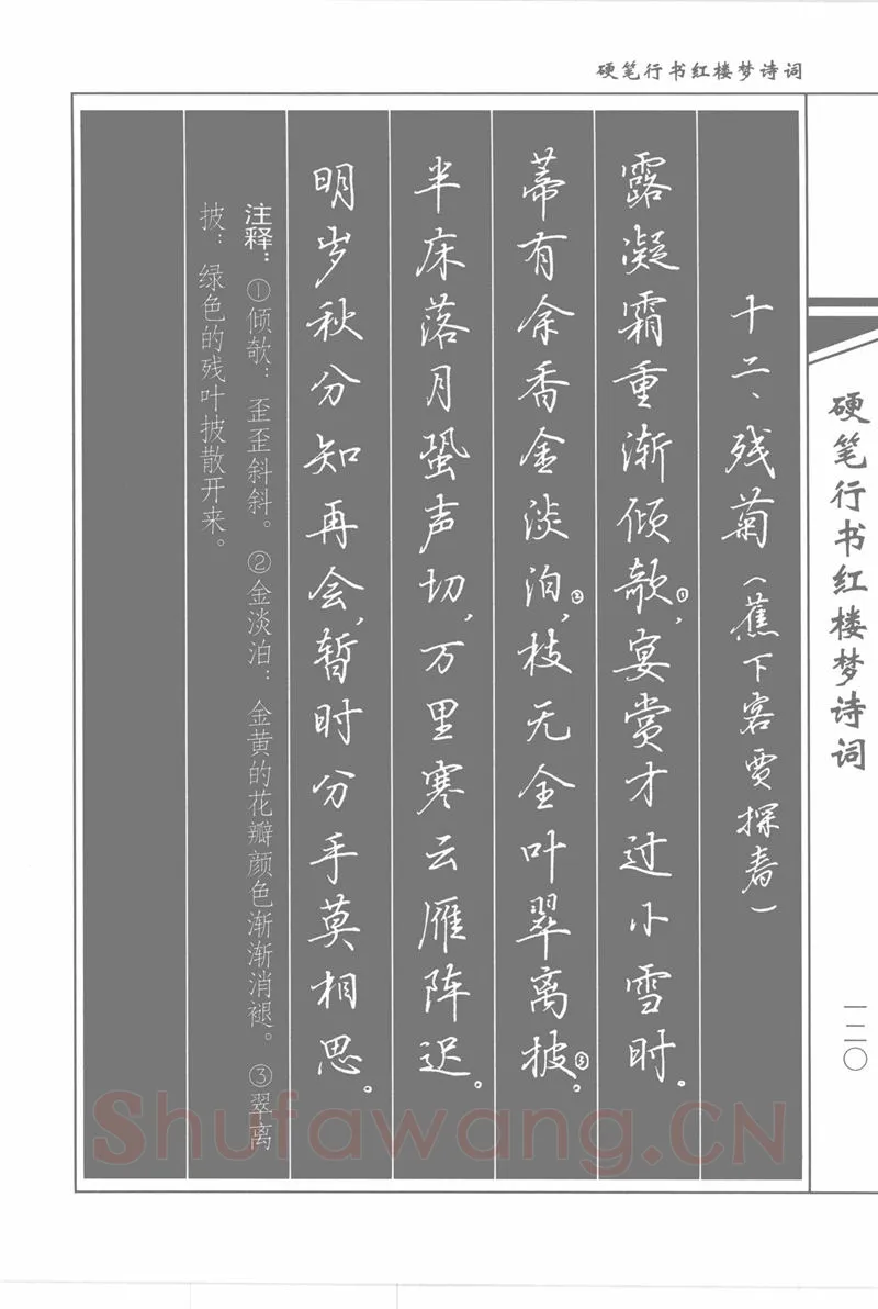 吴玉生硬笔行书字帖,摘自吴玉生硬笔行书红楼梦诗词
