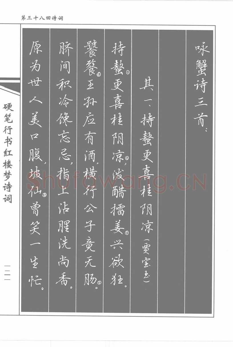 吴玉生硬笔行书字帖,摘自吴玉生硬笔行书红楼梦诗词