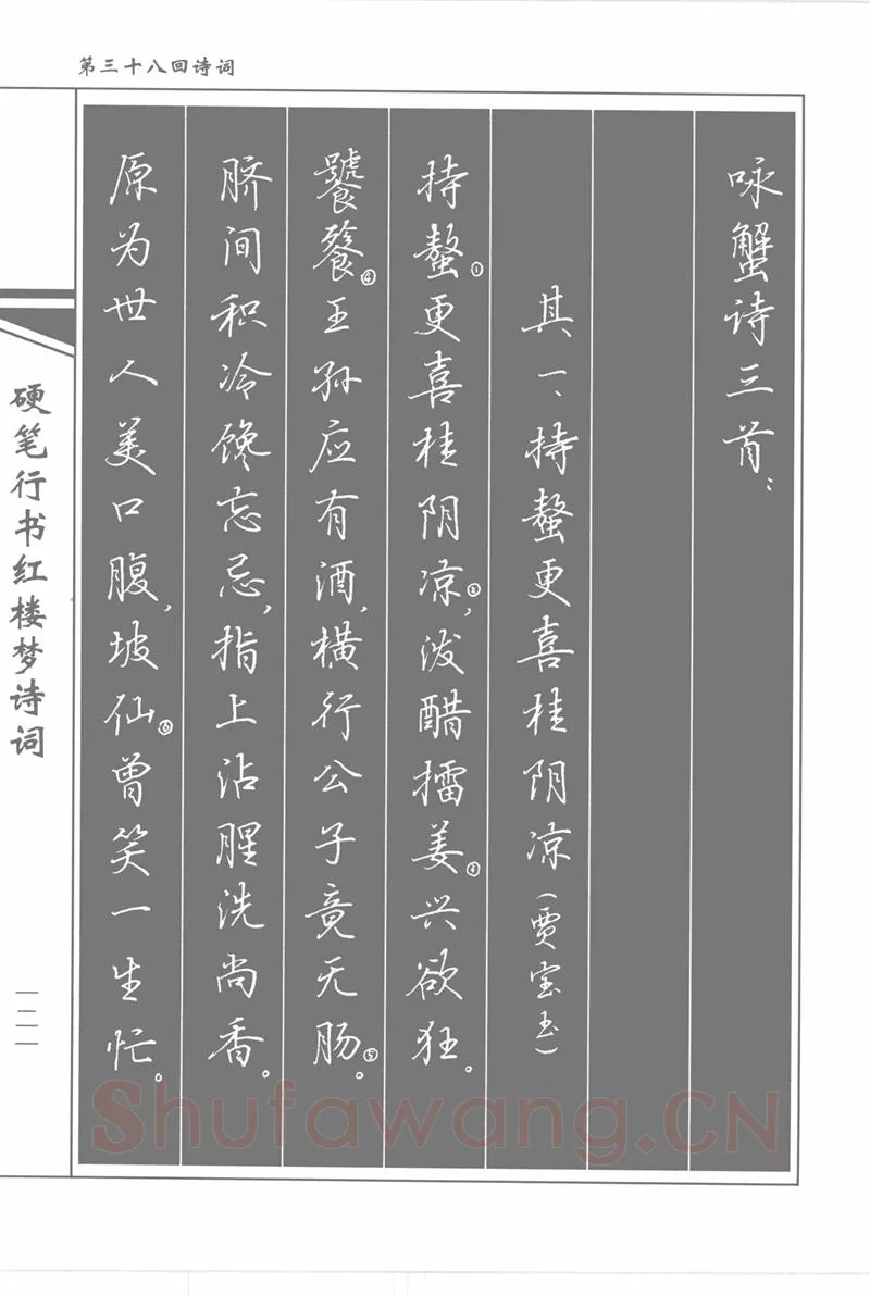 吴玉生硬笔行书字帖,摘自吴玉生硬笔行书红楼梦诗词