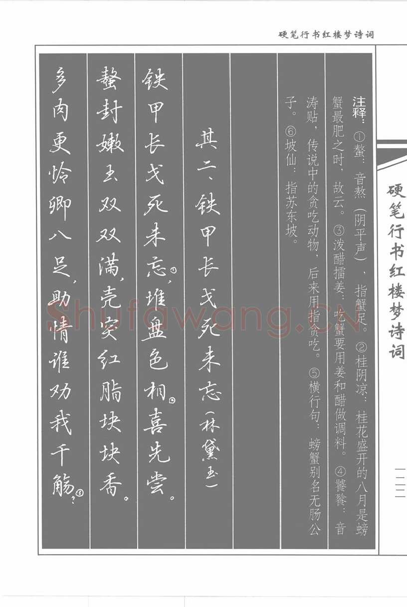 吴玉生硬笔行书字帖,摘自吴玉生硬笔行书红楼梦诗词