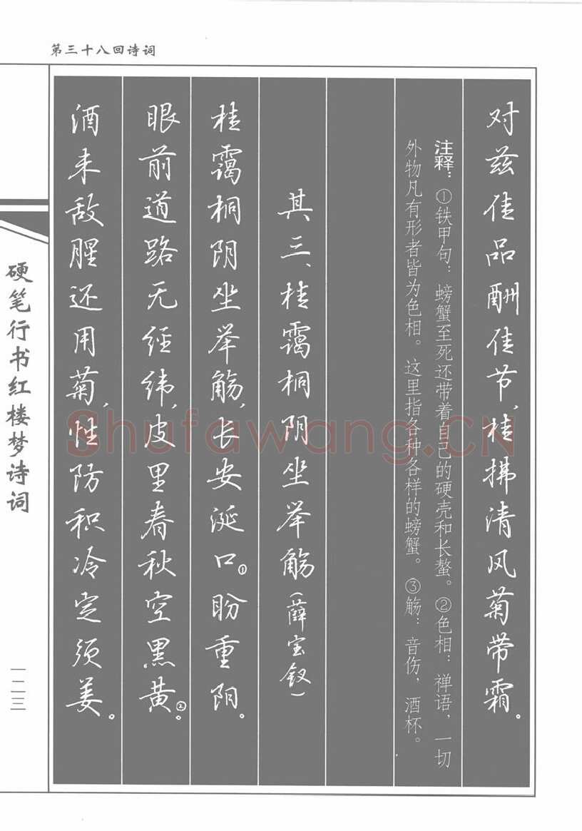 吴玉生硬笔行书字帖,摘自吴玉生硬笔行书红楼梦诗词