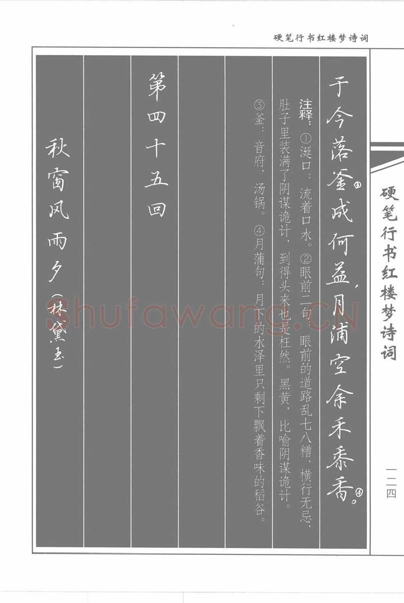 吴玉生硬笔行书字帖,摘自吴玉生硬笔行书红楼梦诗词