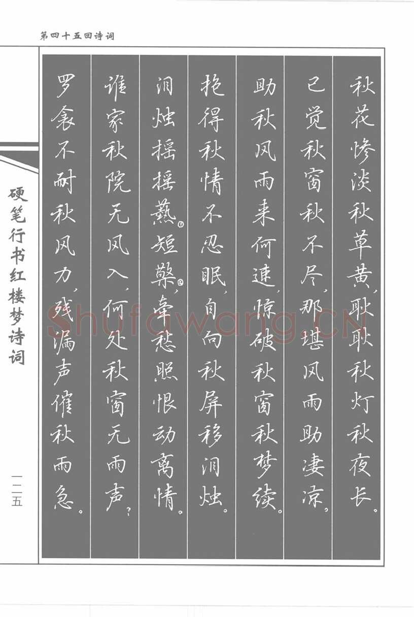 吴玉生硬笔行书字帖,摘自吴玉生硬笔行书红楼梦诗词