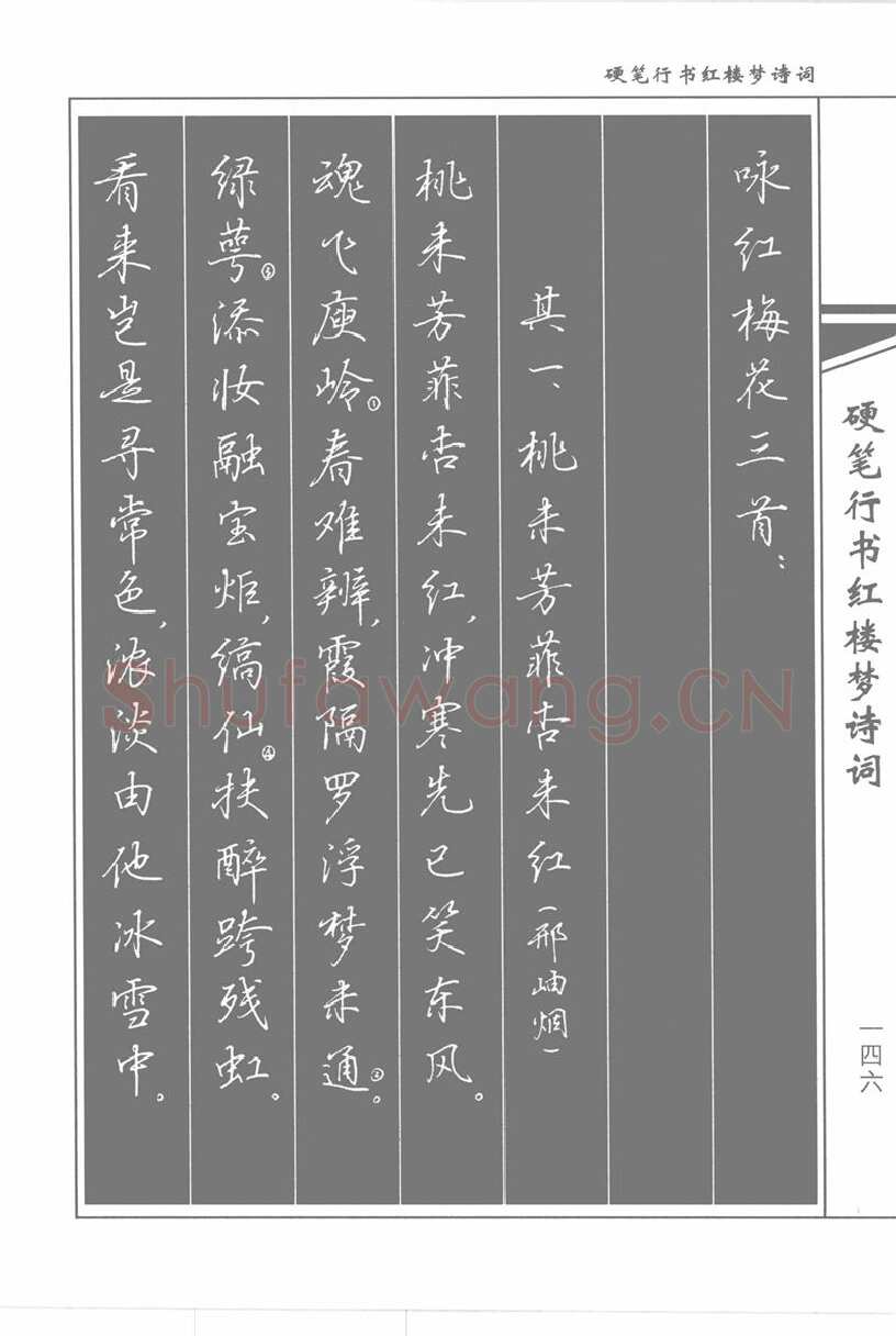 吴玉生硬笔行书字帖,摘自吴玉生硬笔行书红楼梦诗词